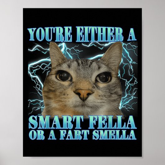 Funny You're Either A Smart Fella Or A Fart Smella Poster (Voorkant)