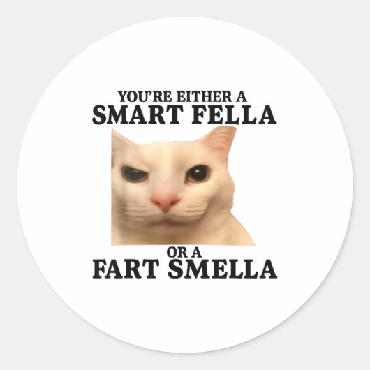 Funny You're Either A Smart Fella Or A Fart Smella Ronde Sticker (Voorkant)