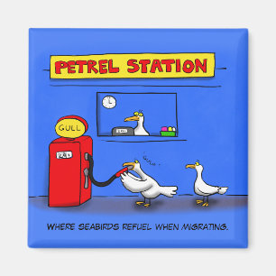 Funny zee gulls petrel cartoon humor magneet