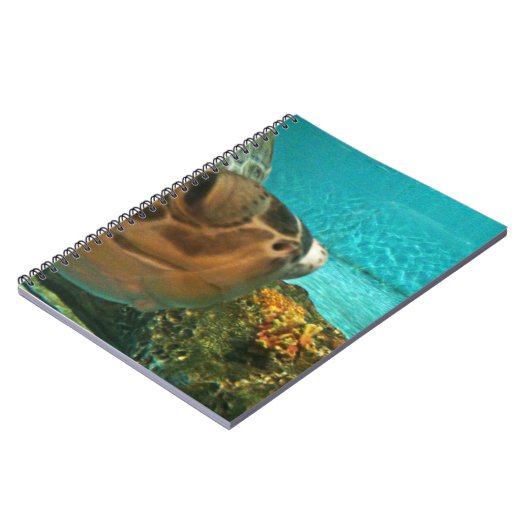 Funny Zee Turtle Peek Notitieboek (Linkerzijde)