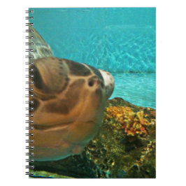 Funny Zee Turtle Peek Notitieboek