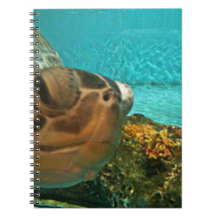 Funny Zee Turtle Peek Notitieboek
