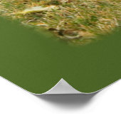 Funny Zeg iets Kat: "Spreekbubbelen" Poster (Hoek)