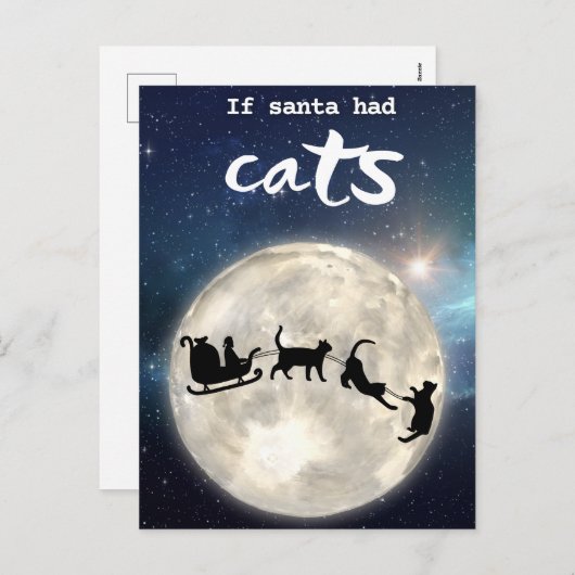 Funny zwarte kerstkat feestdagenkaart (Voorkant / Achterkant)