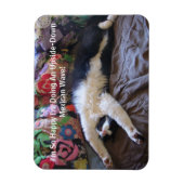 FunnyTuxedo Cat Schattige met een Mexicaanse golfm Magneet (Verticaal)