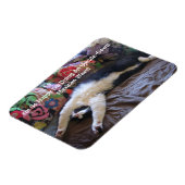 FunnyTuxedo Cat Schattige met een Mexicaanse golfm Magneet (Linkerzijde)