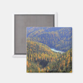 Fuorn Pass 2 Magneet (Voorkant / Achterkant)