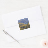 Fuorn Pass 2 Vierkante Sticker (Envelop)