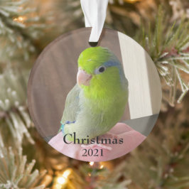 Fur Baby Acrylkerstversiering Ornament
