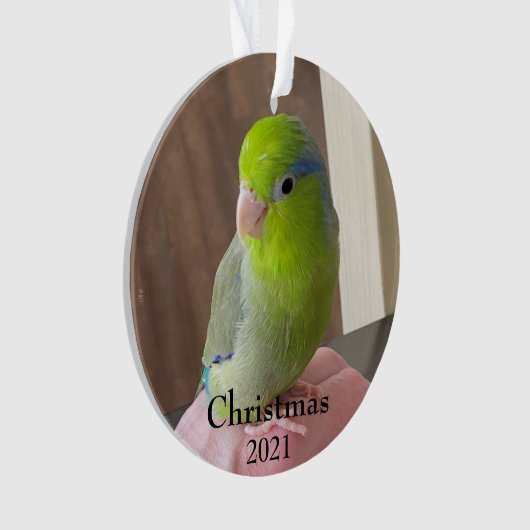 Fur Baby Acrylkerstversiering Ornament (voorkant)