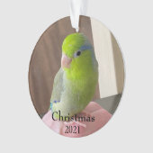 Fur Baby Acrylkerstversiering Ornament (voorkant)