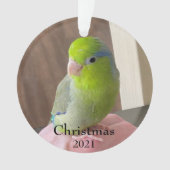 Fur Baby Acrylkerstversiering Ornament (voorkant)