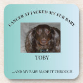 Fur Baby Cancer Survivor Hope Design Bier Onderzetter (Voorkant)