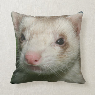 Fur Baby Cute Face of a Ferret Kussen