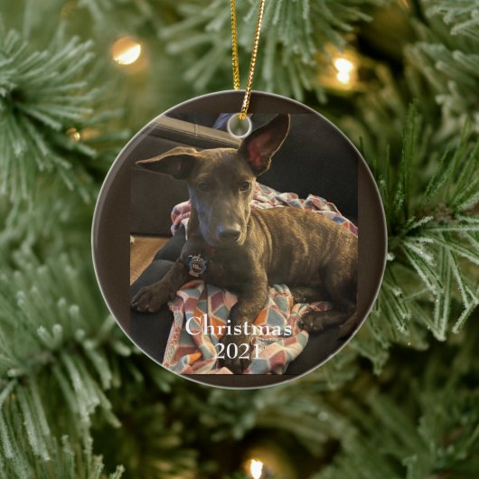 Fur Baby kerstversiering Keramisch Ornament (Boom)