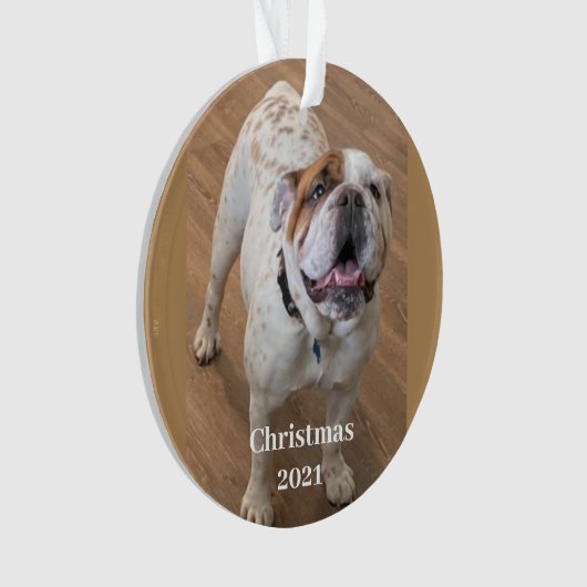 Fur Baby kerstversiering Ornament (voorkant)