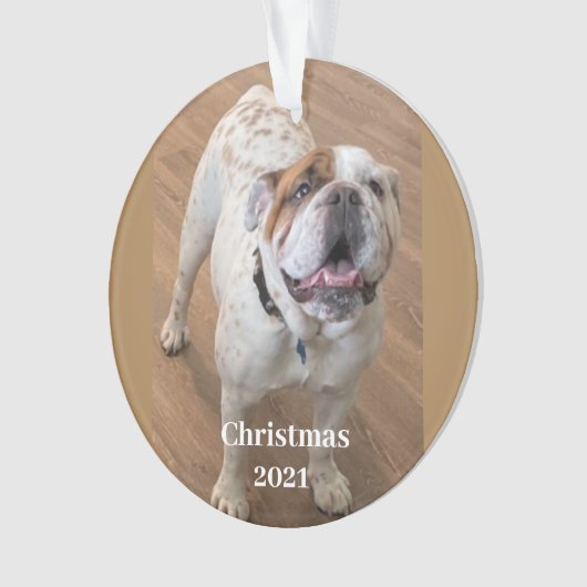 Fur Baby kerstversiering Ornament (voorkant)