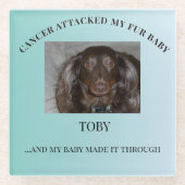 Fur Baby Light & Healing Tribute Glazen Onderzetter (Voorkant)