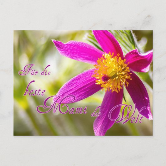Für die beste Mami der Welt! Briefkaart (Voorkant)