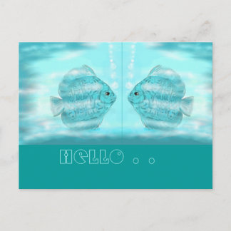 Für Discus-Freunde...briefkaart Briefkaart