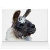 Fur Face (Binnen Horizontaal (Boven))