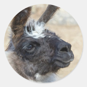 Fur Face Ronde Sticker