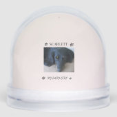 Fur-filled Sunshine Holiday Tribute Sneeuwbol (Voorkant)