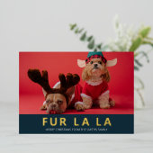 Fur La Blue Goud Moderne Pet Kerstfoto Folie Feestdagenkaart (Staand Voorkant)