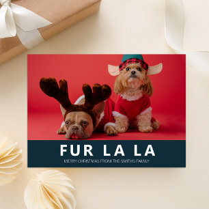Fur La Blue Modern Pet Kerstfoto Feestdagenkaart