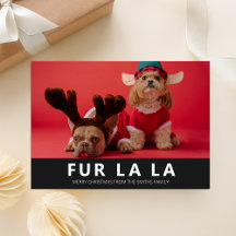 Fur La La Black Modern Pet Kerstfoto
