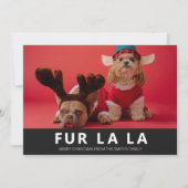 Fur La La Black Modern Pet Kerstfoto Feestdagenkaart (Voorkant)