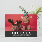 Fur La La Black Modern Pet Kerstfoto Feestdagenkaart (Staand voorkant)