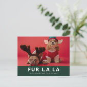 Fur La La Green Modern Pet Kerstfoto Feestdagenkaart (Staand voorkant)