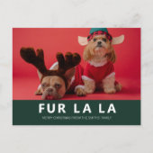 Fur La La Green Modern Pet Kerstfoto Feestdagenkaart (Voorkant)