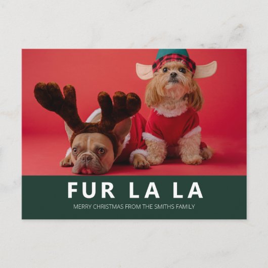 Fur La La Green Modern Pet Kerstfoto Feestdagenkaart (Voorkant)