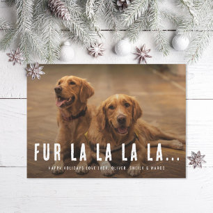 Fur La La La La Pet Dog Kerstfoto Feestdagenkaart