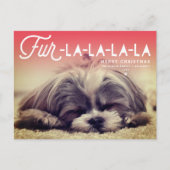 Fur La La La La Script Hondenliefhebber Foto Funny Feestdagenkaart (Voorkant)