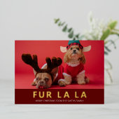 Fur La La Red Gold Modern Pet Kerstfoto Folie Feestdagenkaart (Staand Voorkant)