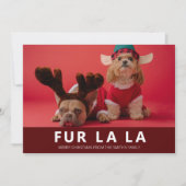 Fur La La Red Modern Pet Kerstfoto Feestdagenkaart (Voorkant)