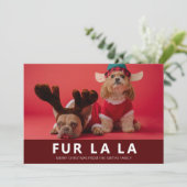 Fur La La Red Modern Pet Kerstfoto Feestdagenkaart (Staand voorkant)