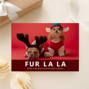 Fur La La Red Modern Pet Kerstfoto Feestdagenkaart