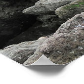 Fur Seal Gang Poster (Hoek)