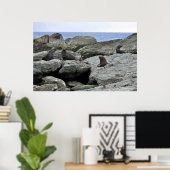 Fur Seal Gang Poster (Thuiskantoor)