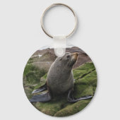 Fur Seal Sleutelhanger (Voorkant)