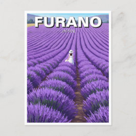 Furano Japan Lavender Fields Travel Briefkaart