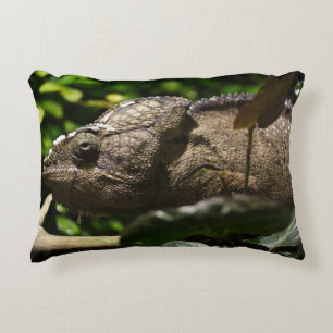 Furcifer oustaleti accent kussen