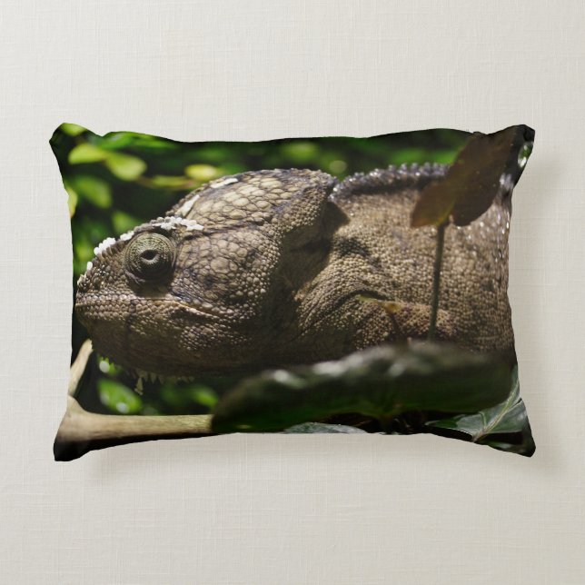 Furcifer oustaleti accent kussen (Voorkant)