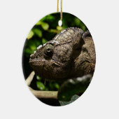 Furcifer oustaleti keramisch ornament (Rechts)