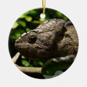 Furcifer oustaleti keramisch ornament (Voorkant)