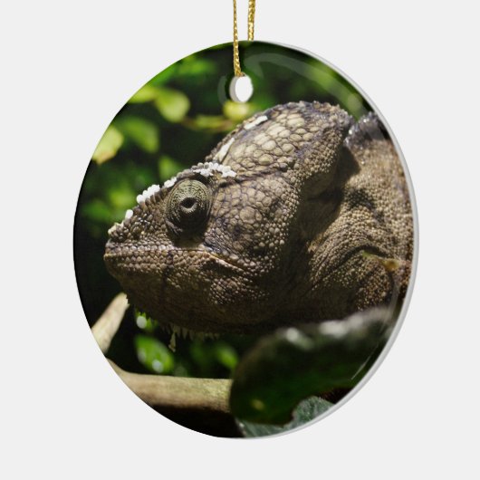 Furcifer oustaleti keramisch ornament (Links)